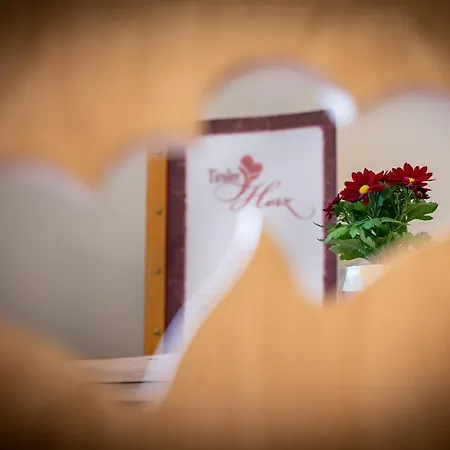 Tiroler Herz Konukevi