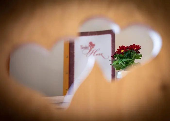 Tiroler Herz Gæstehus